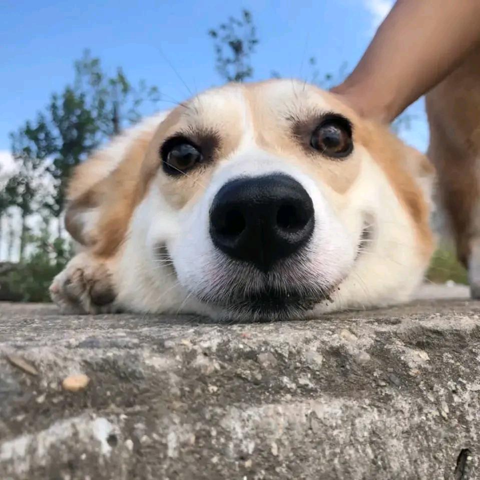 云阿姨