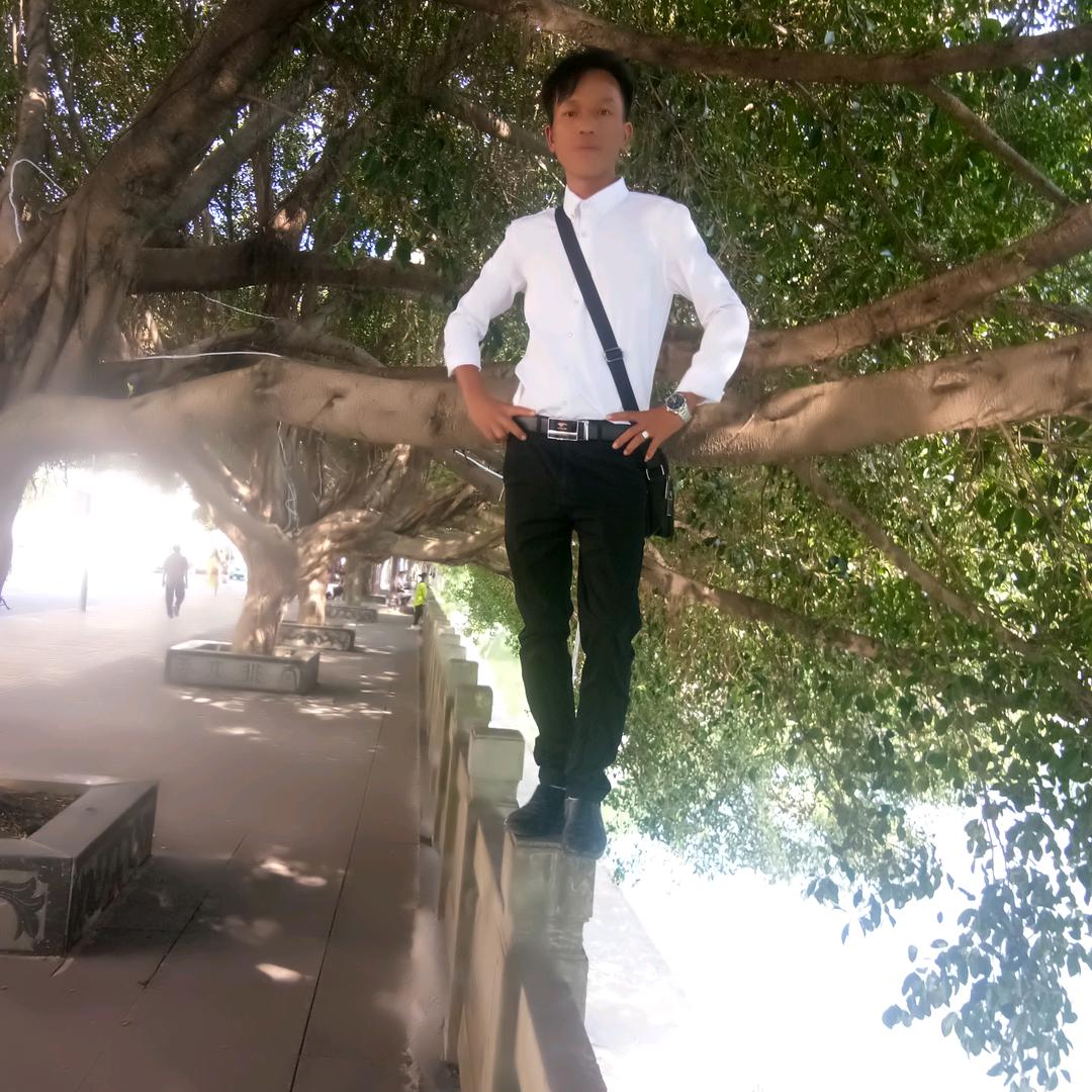 专业钢结构