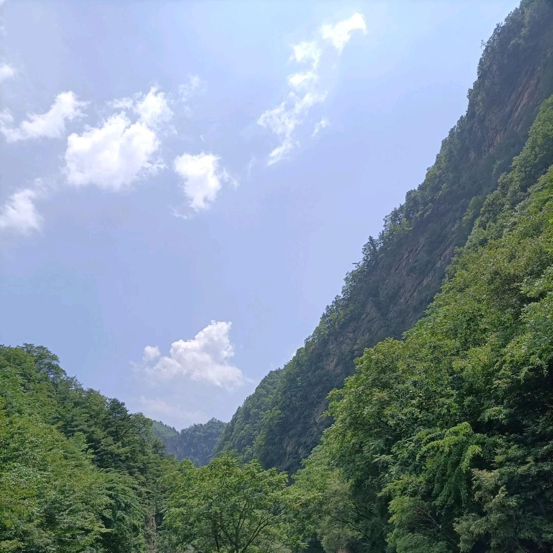 一片云🌴