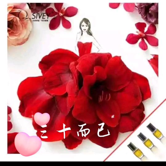 💋王夫人💋