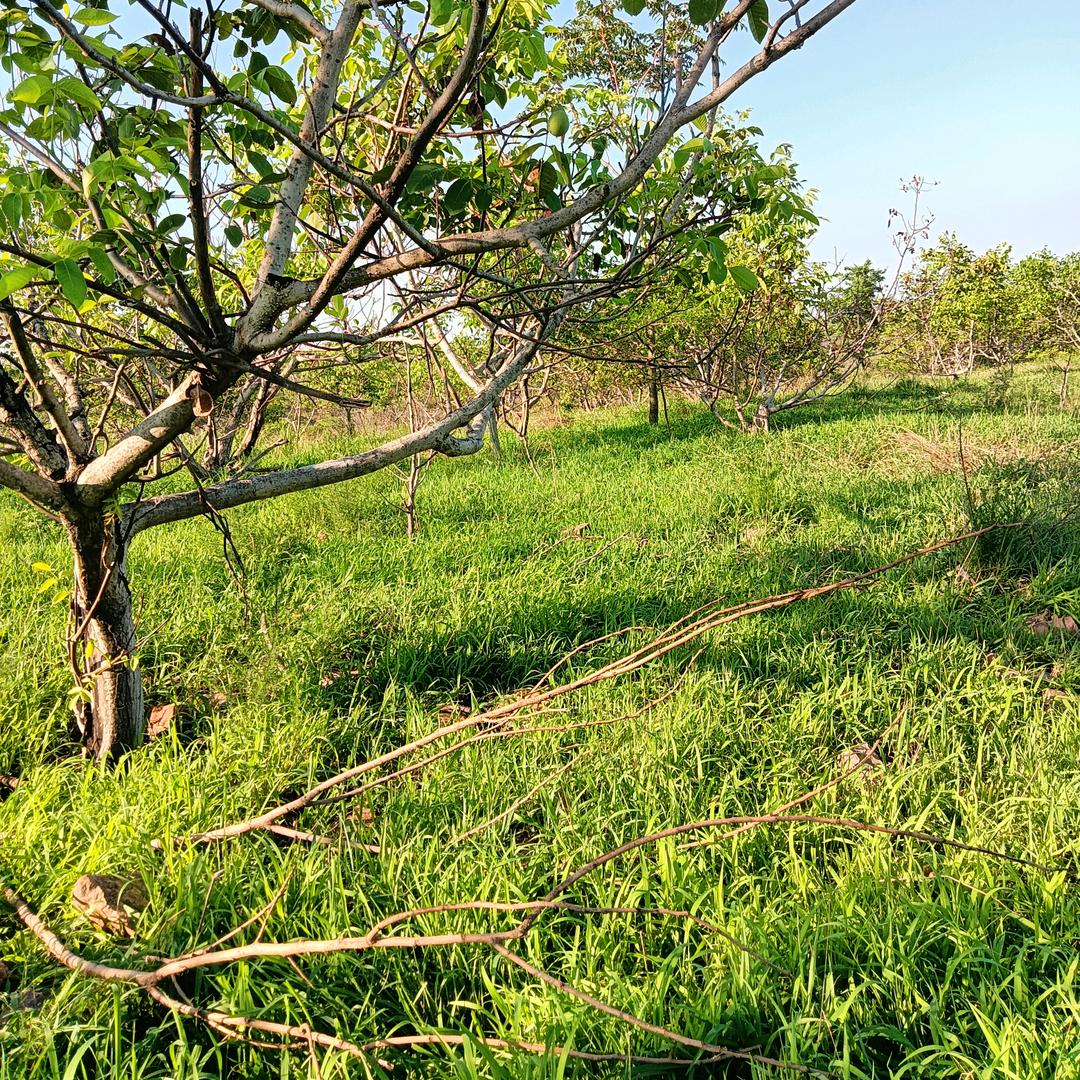 ↙发表美好生活