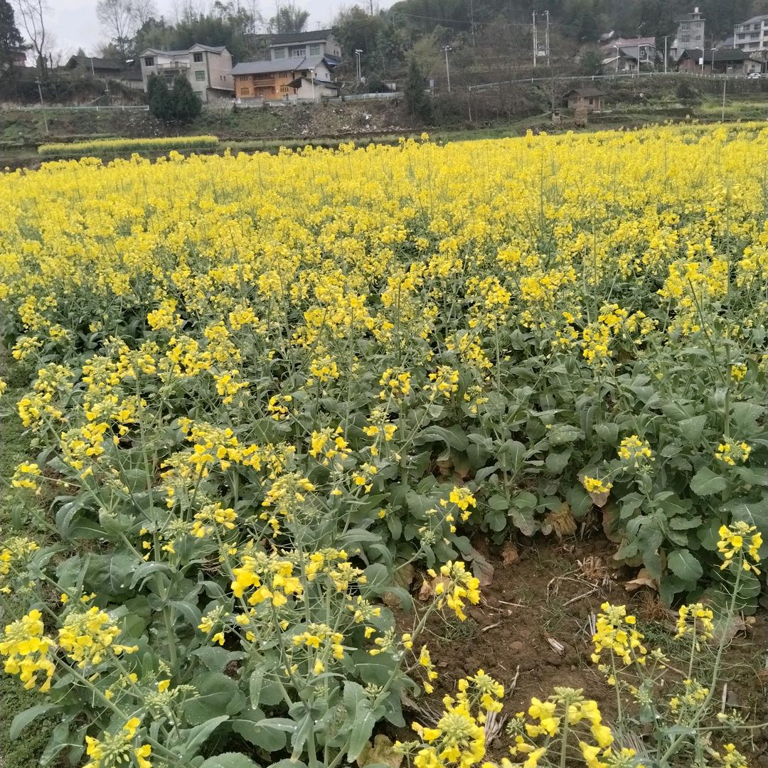 🌴美好🌷时光🌺