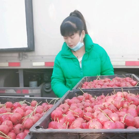 云居山里七公主