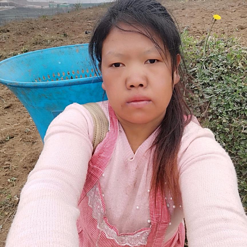 云南啊芬