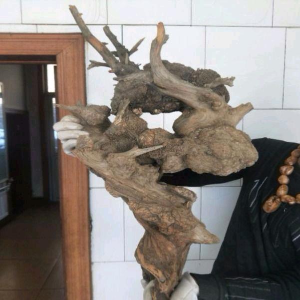 崖柏树根王