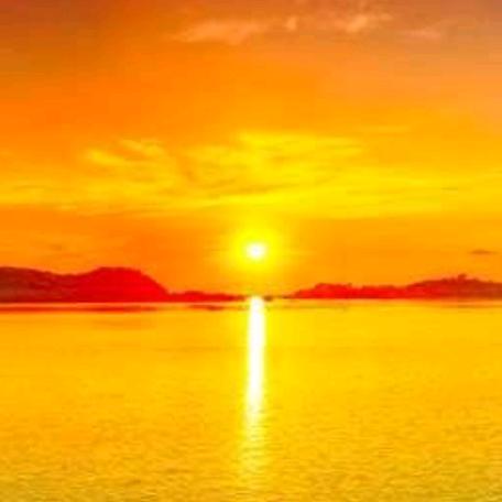 🌸花🌸开🌸富贵🌸