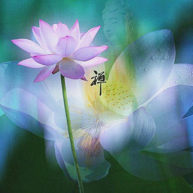 晓晓