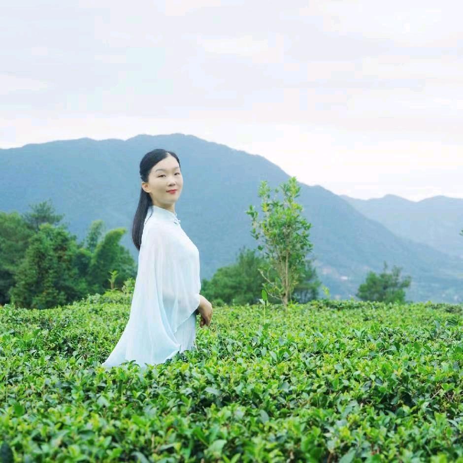 南园号茶叶