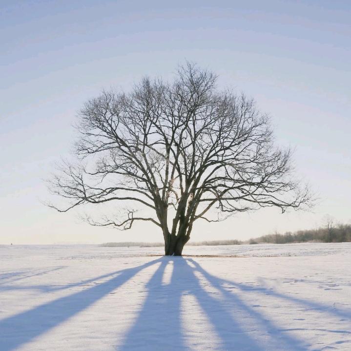 ༊ღ᭄秋风老头꧔᭄💞