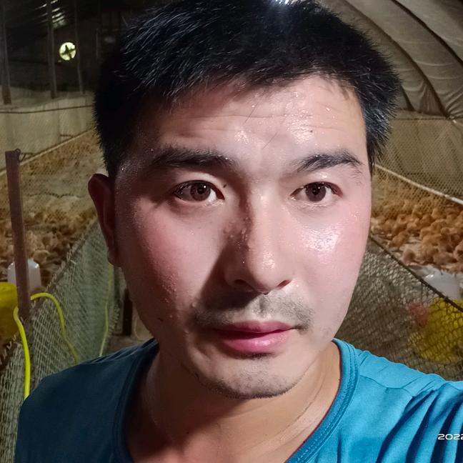蔡川留留 散养土鸡蛋