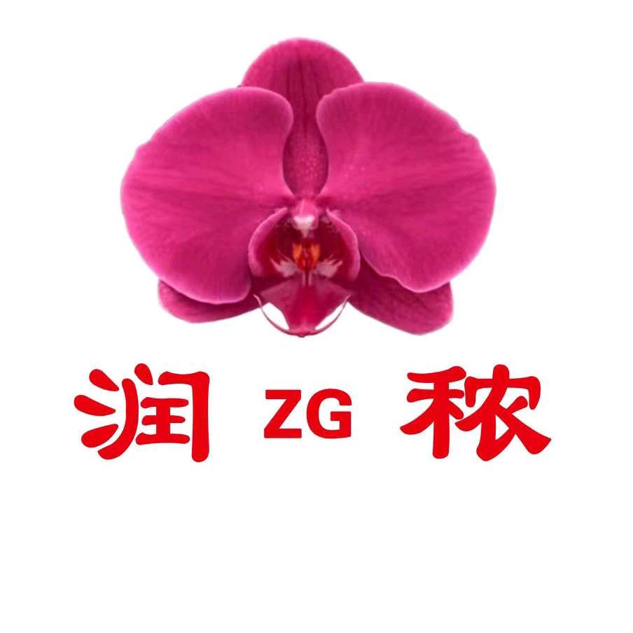 蝴蝶兰-正工润秾