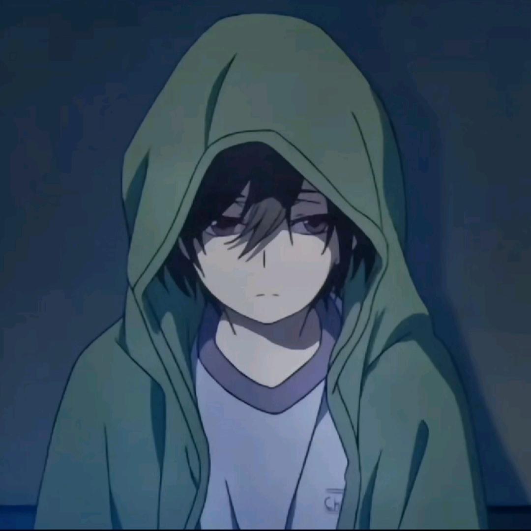 每天吸猫八百遍