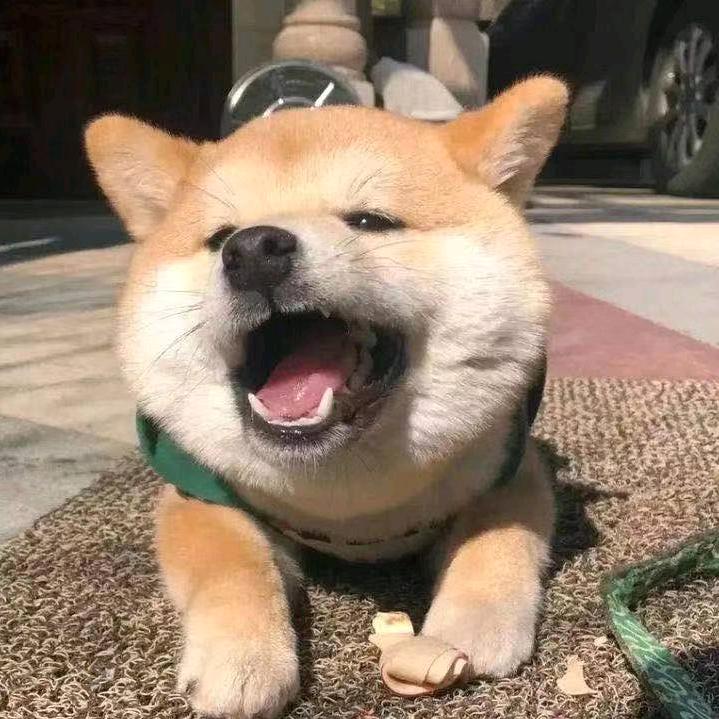 性格如此。。。