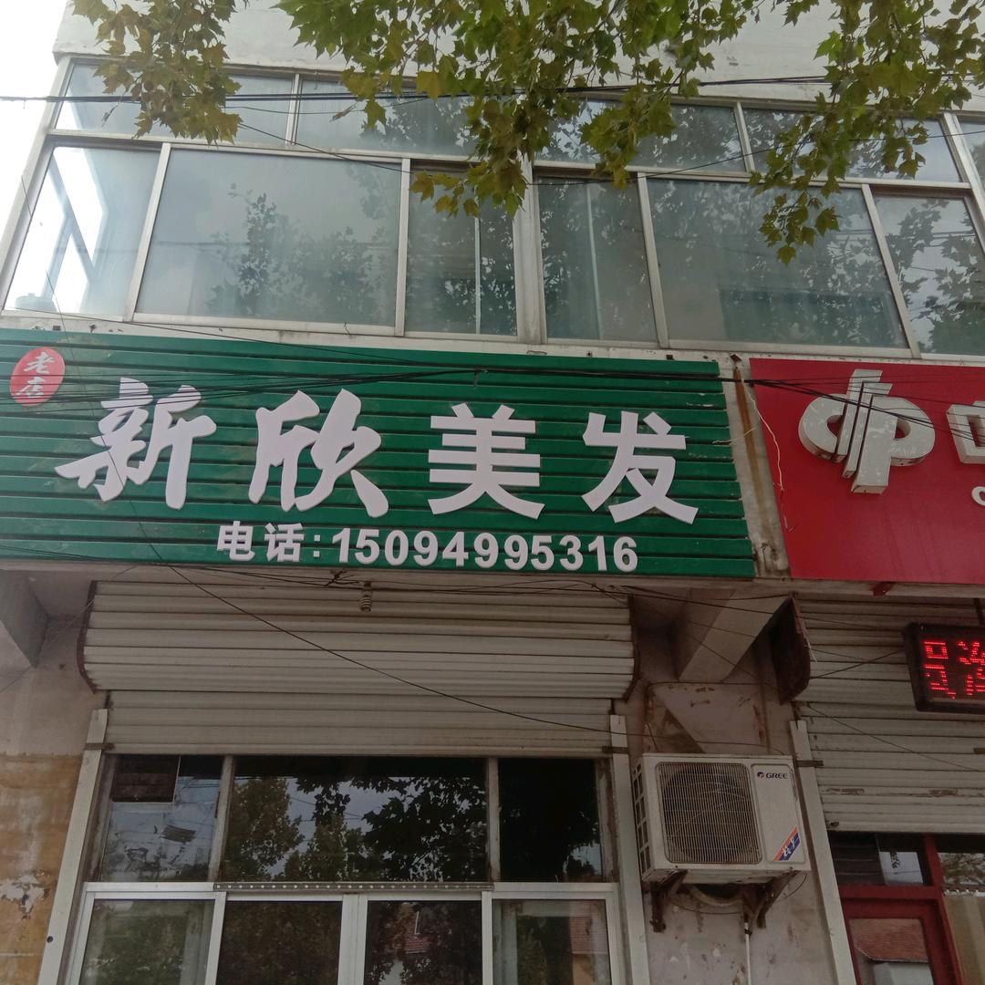 新欣美发