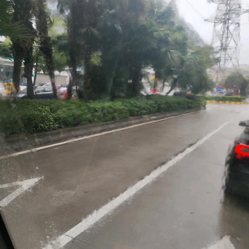 陈