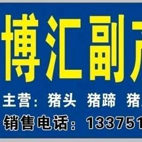 高磊新号