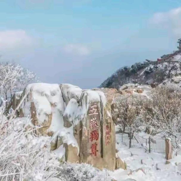 金色的港湾