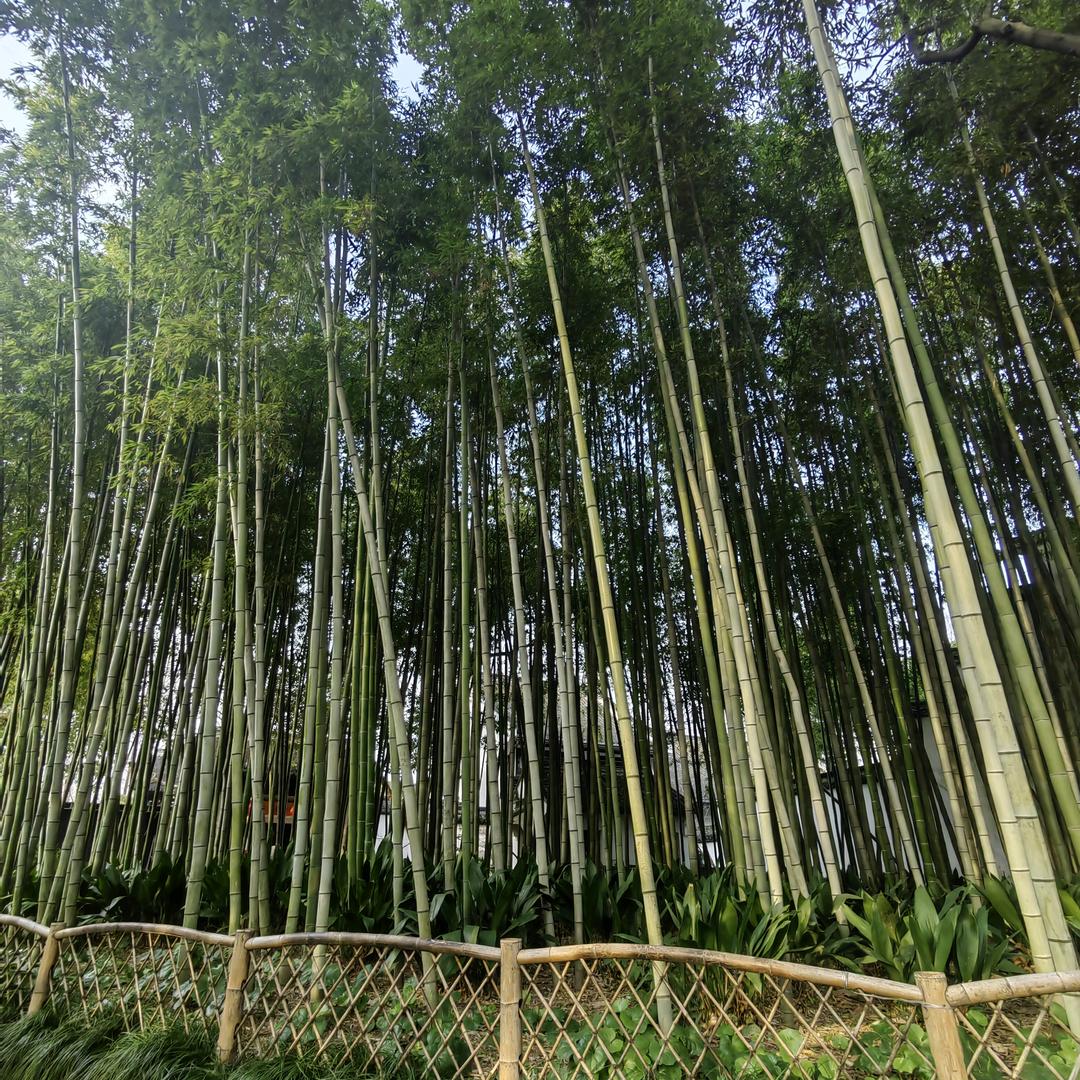 贩卖月光杂货铺