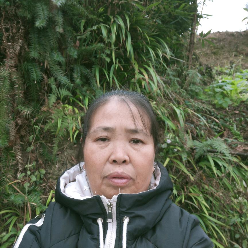 何明群