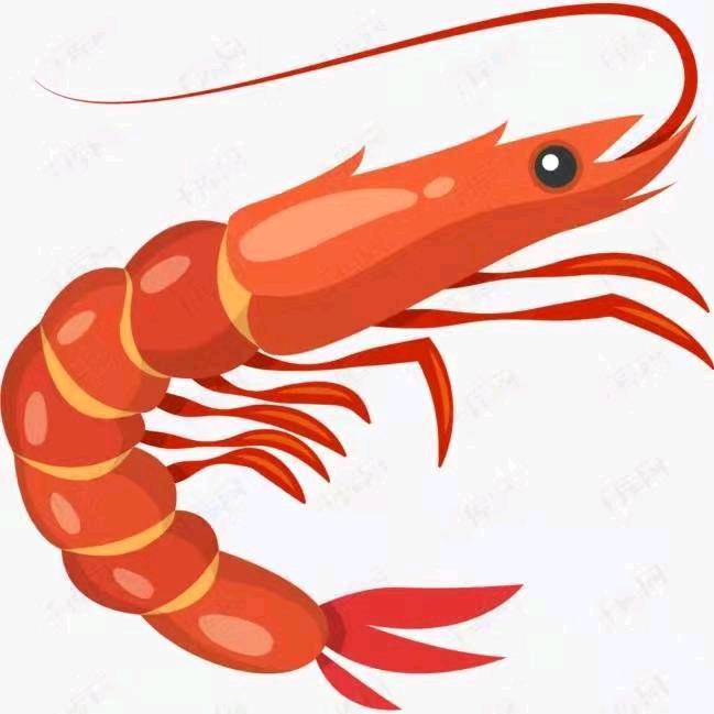 海虾批发零售