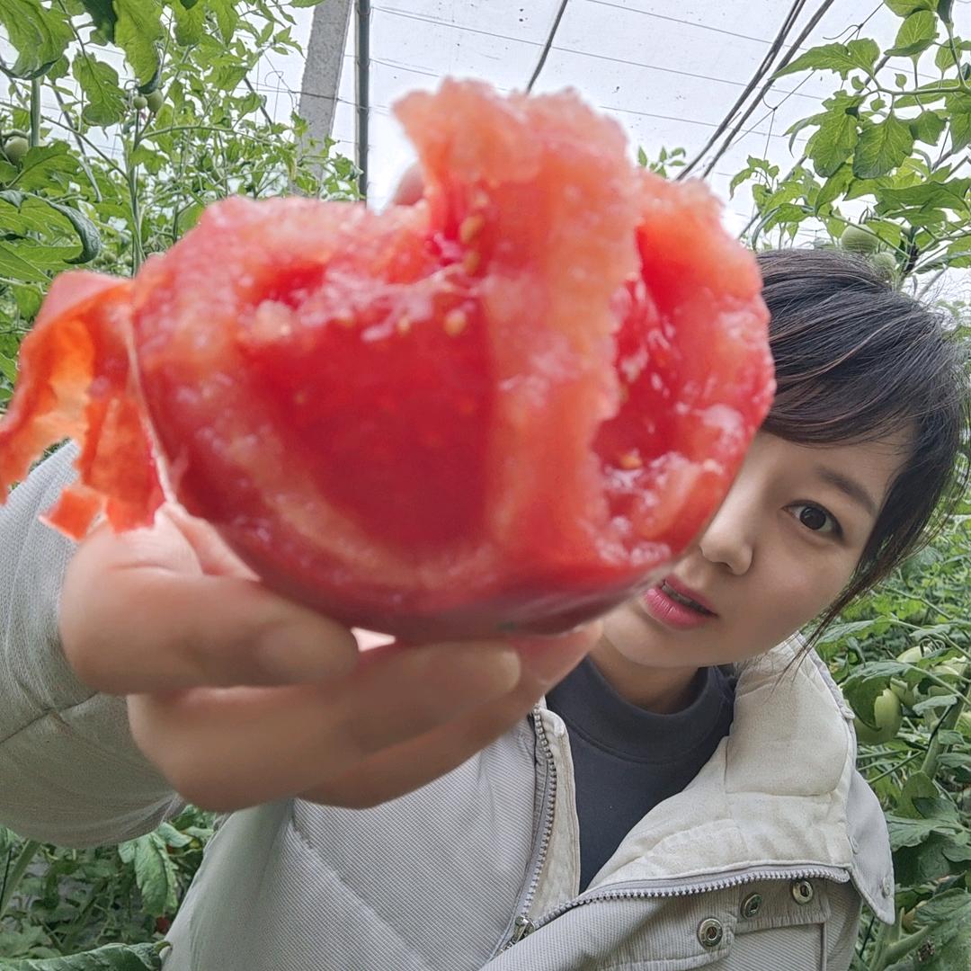 西红柿小姐姐