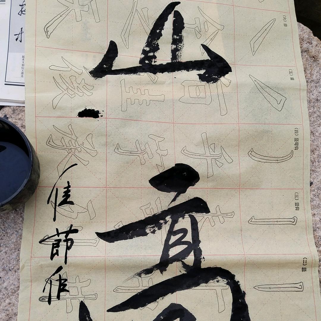 九凤朝阳木业