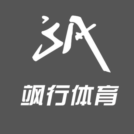飒行羽毛球