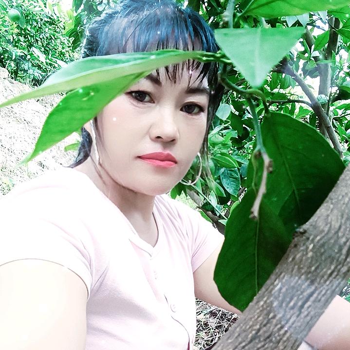 孤单一人真的好伤心，早知道就不要找错了君