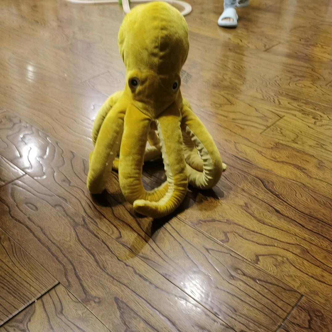 杰于