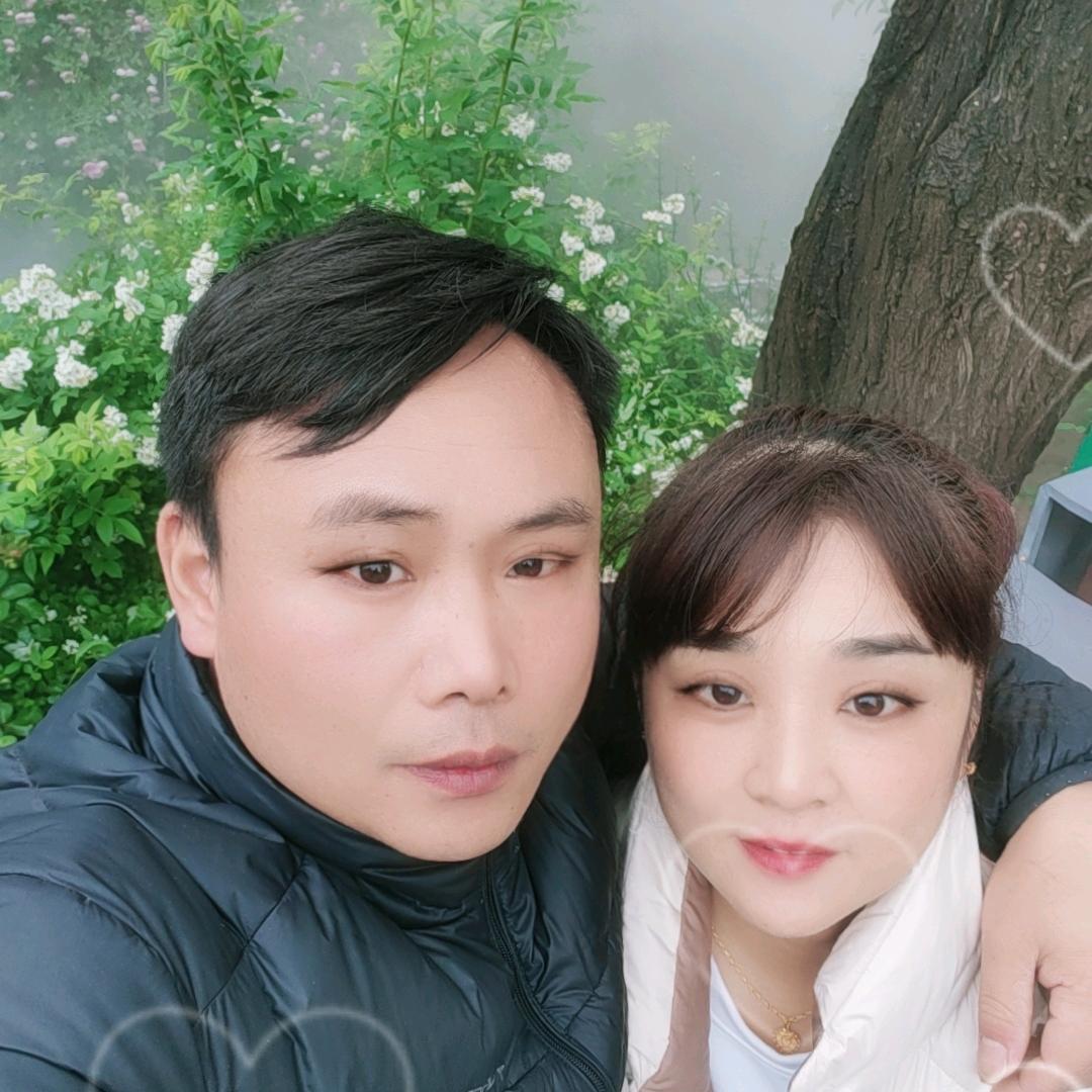 杨姐 （yang jie）