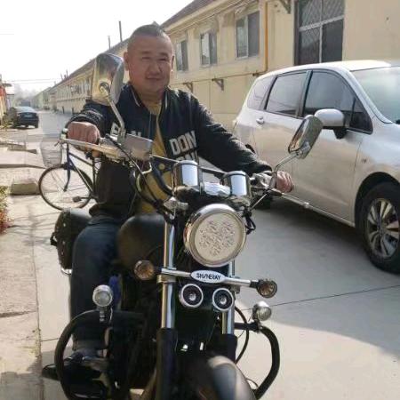 丑点木毛病