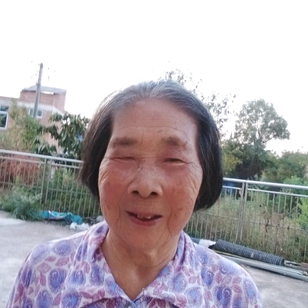 老杨
