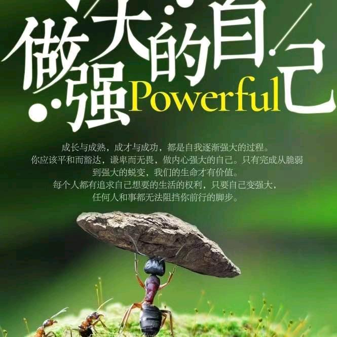 爱的世界只有你