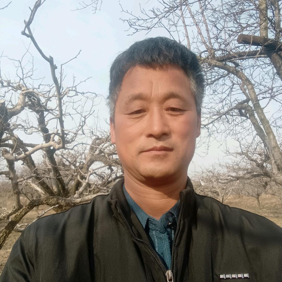 美好生活，桂花飘香