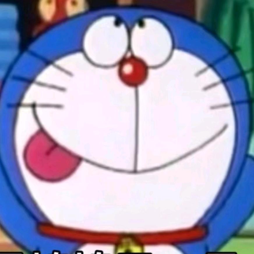 犯困小鱼