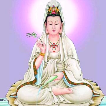 一世芳华尽沧桑