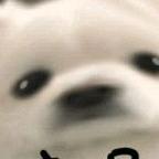 奇22头像