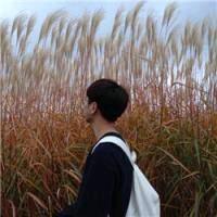 夜幕下的流星  唐