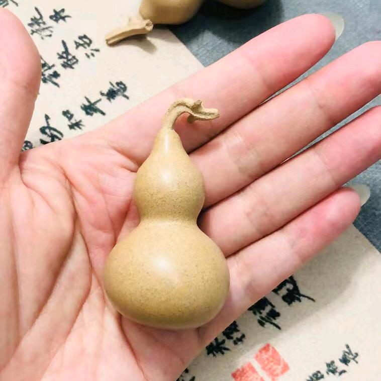 张会来