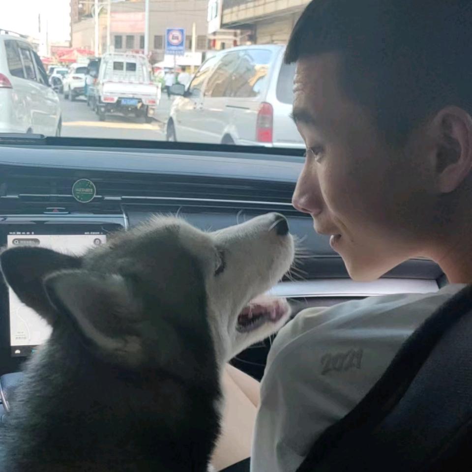 是小皮蛋啊.