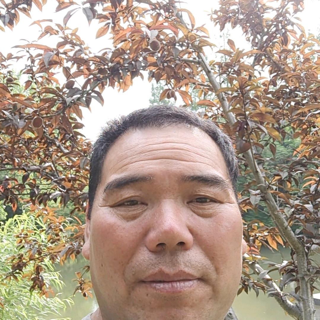 小華