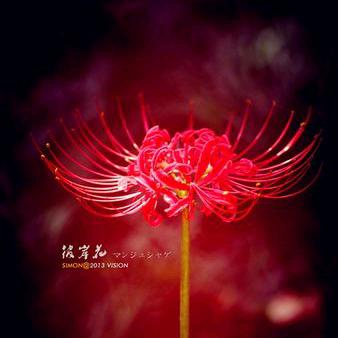 ༄༊关于你ོ࿐