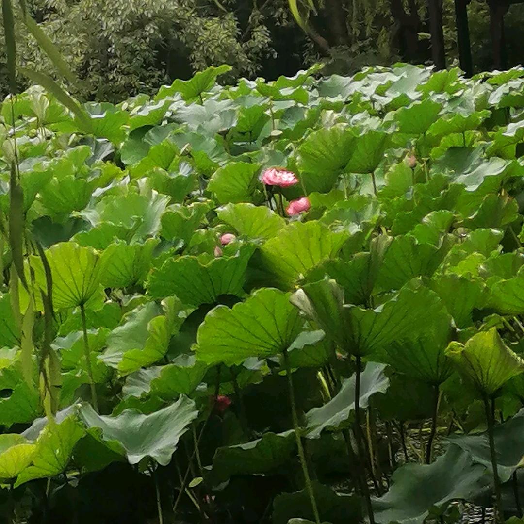 原来是你