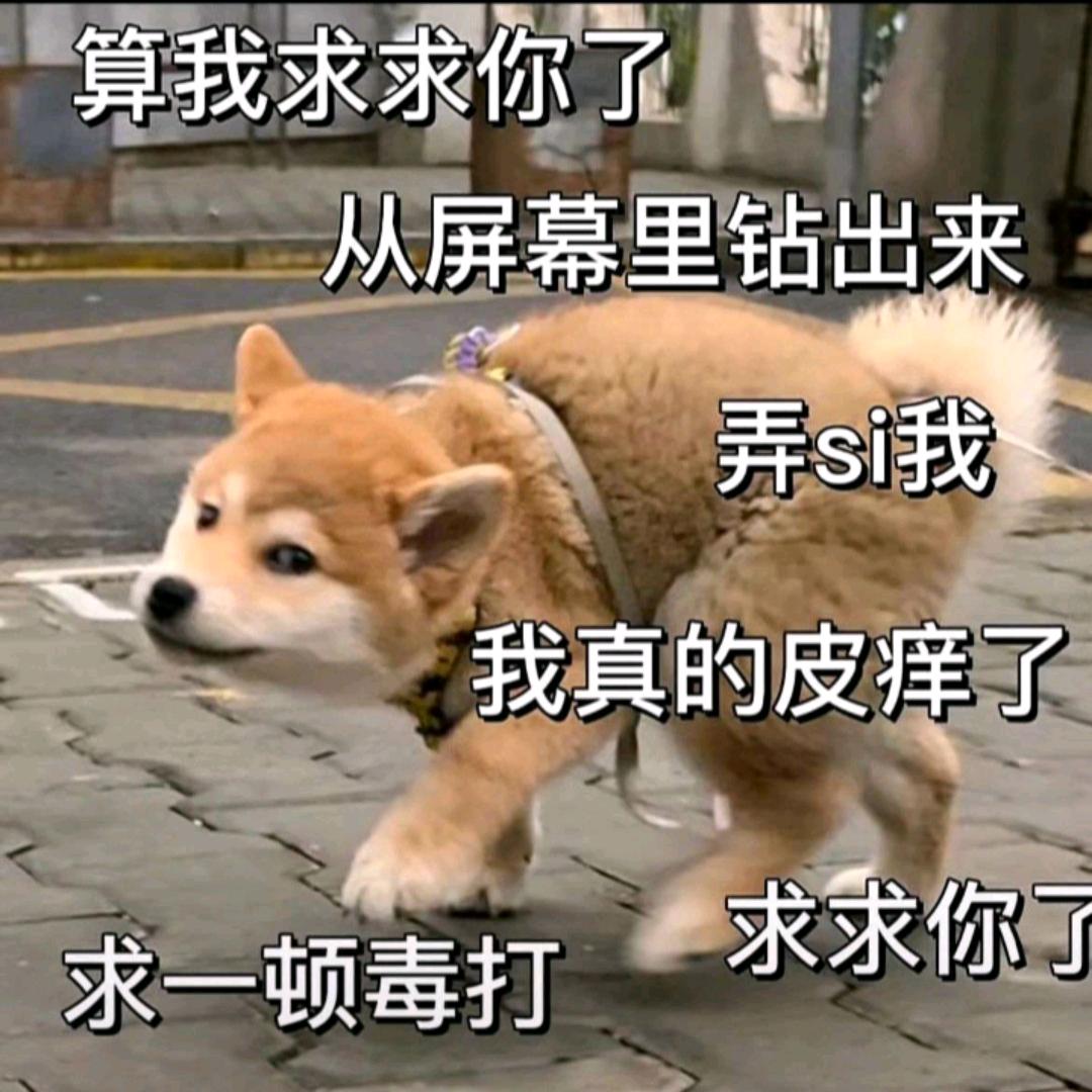 胡萝卜永远最爱