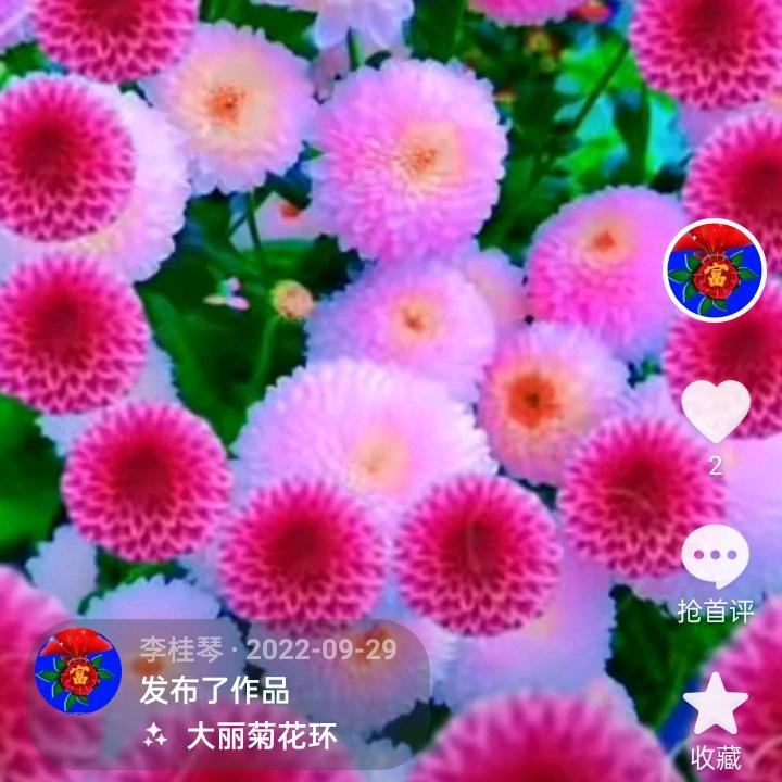 李桂琴