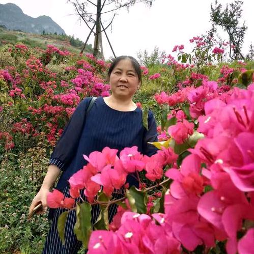 悠悠愁愁