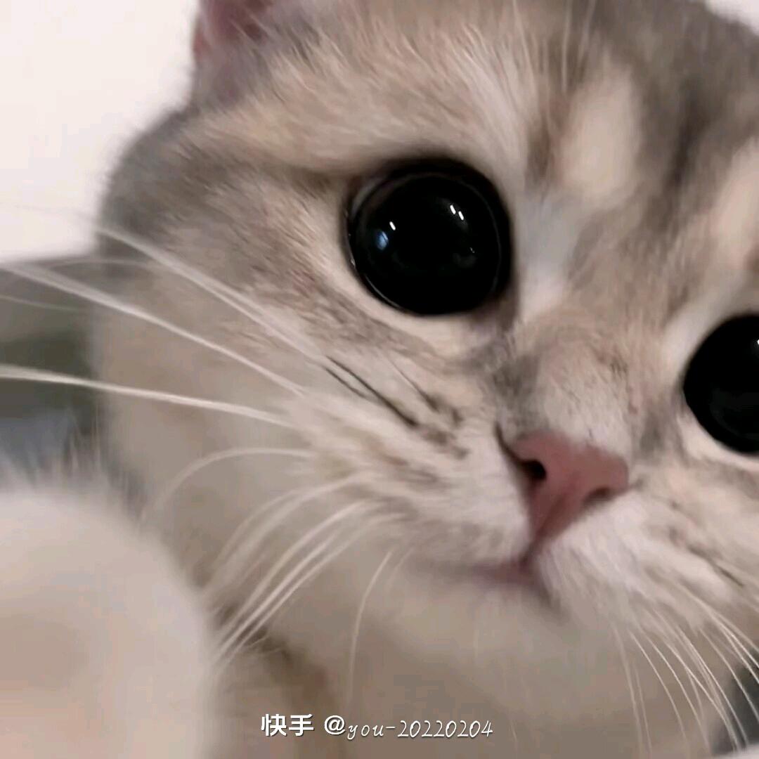 史宝宝的宝宝😁