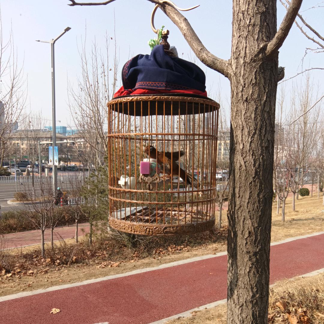 李书记