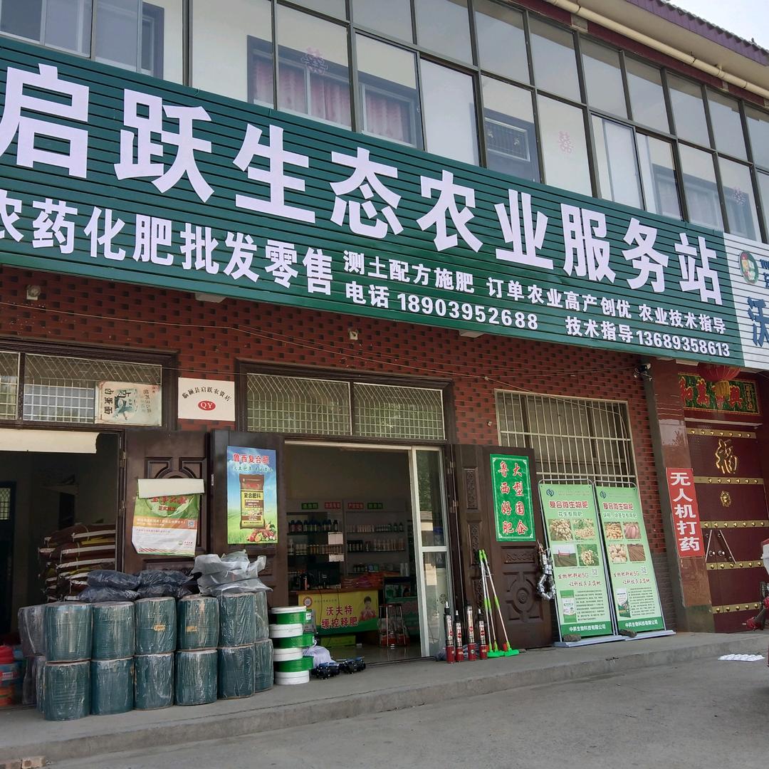 葡萄树的枝子    罗娟