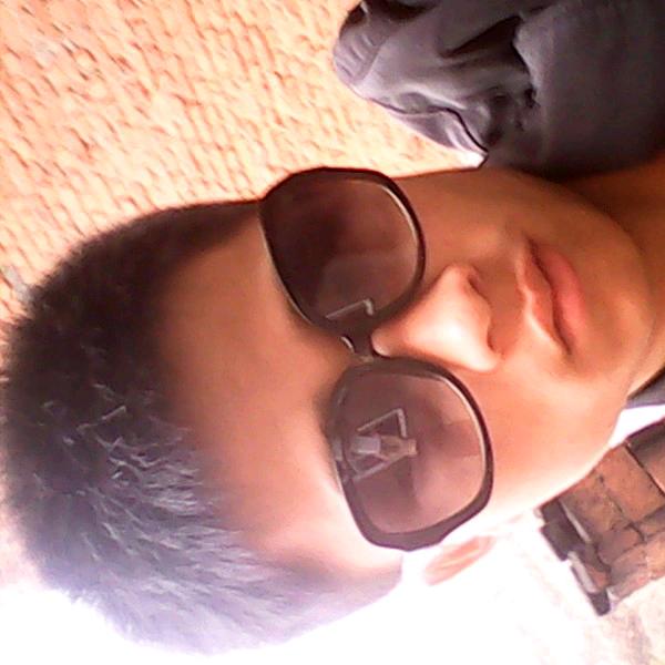 南有乔木，不可思议